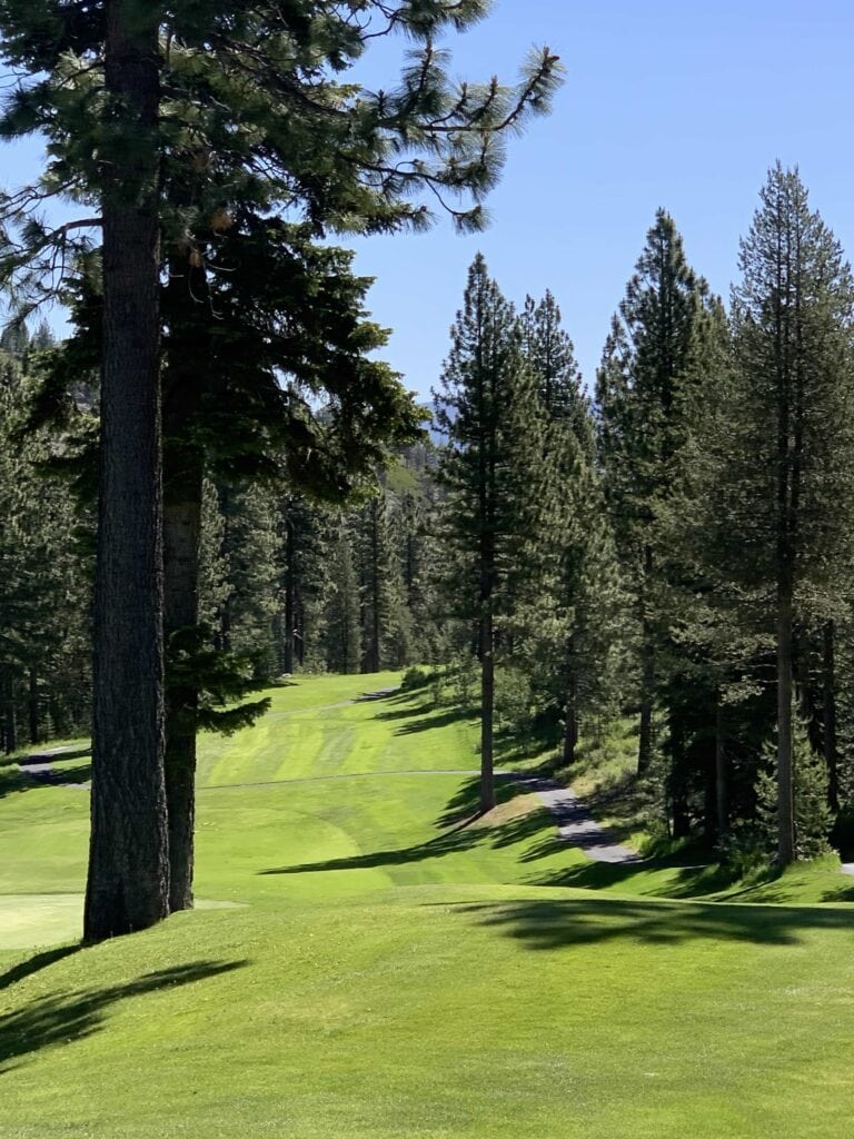 coyote moon golf course in truckee