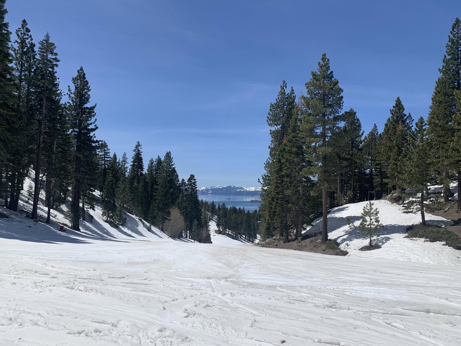 ski slopes lake tahoe snowy mountain with trees and the lake in the distance